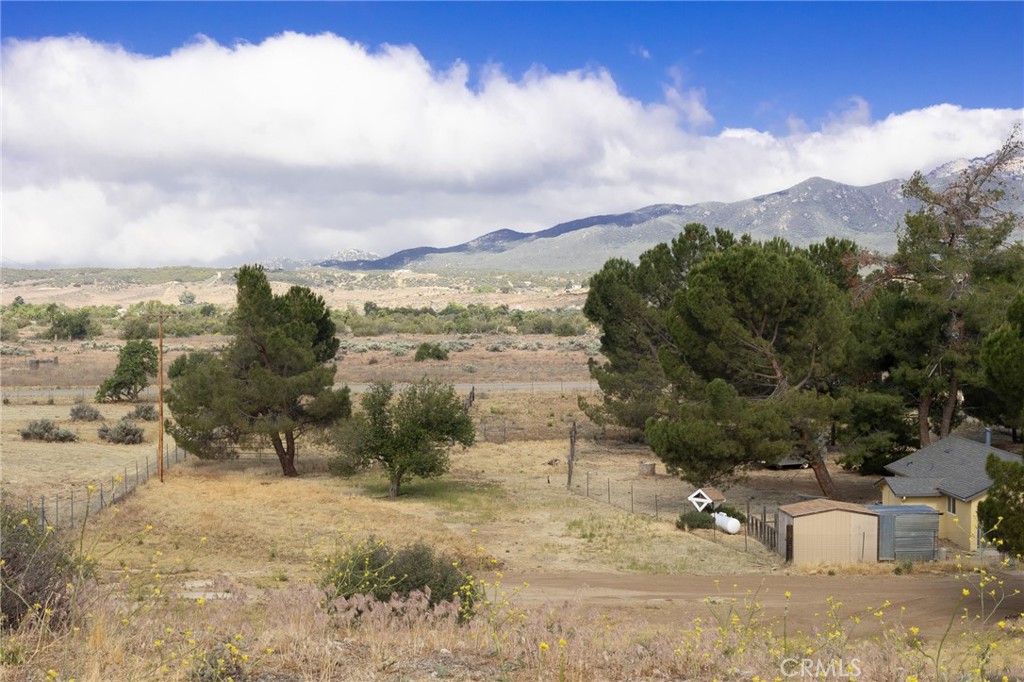 39396 Cary Road Anza, CA 92539 - Photo 38 of 42