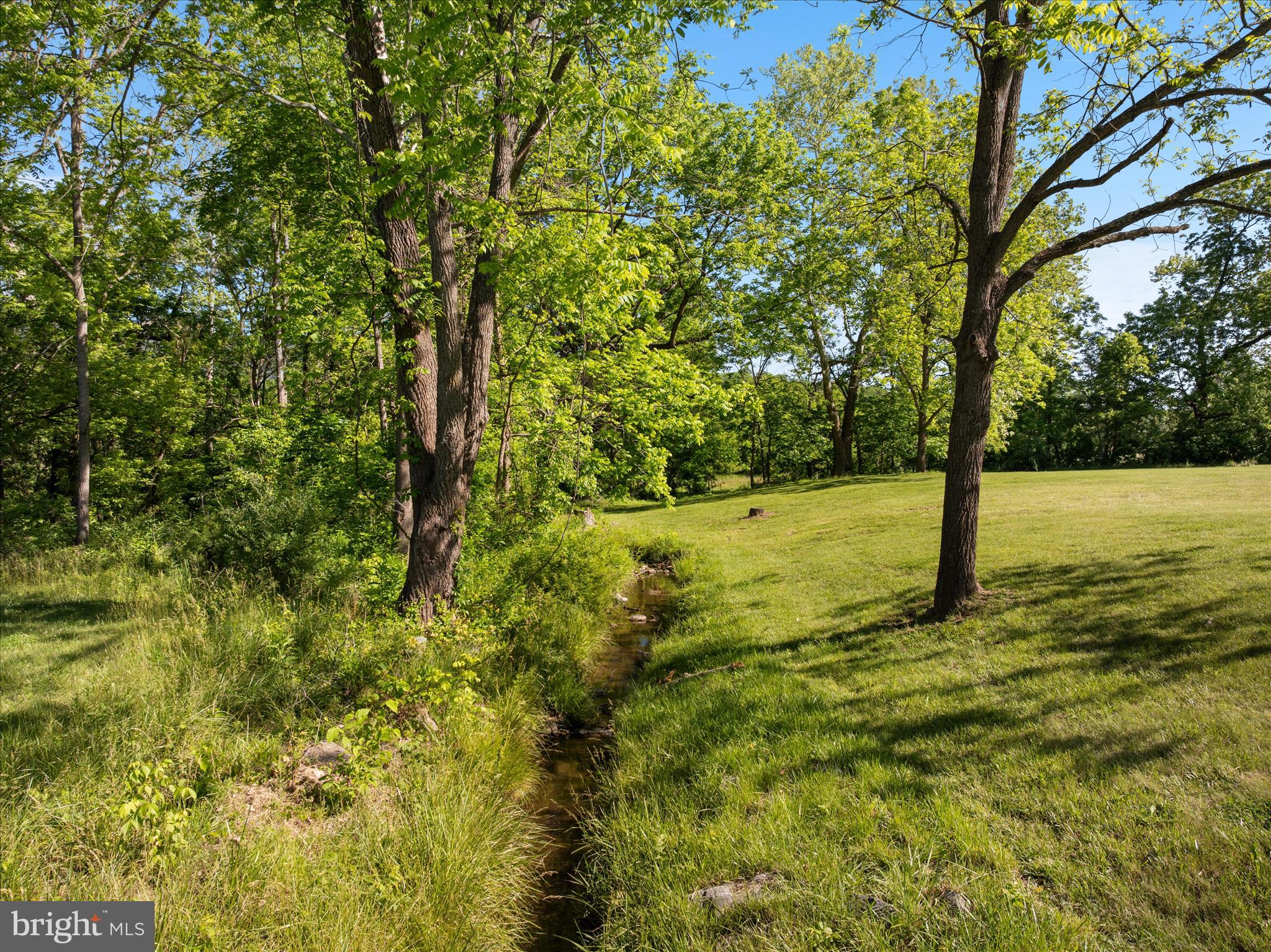 4263 St Davids Church Road Fort Valley, VA 22652 - Photo 60 of 60 Wet weather stream