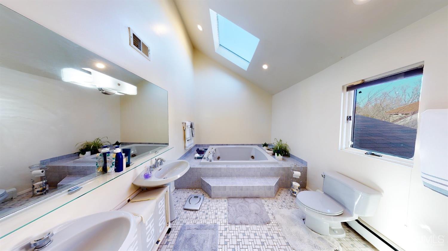 10 Cook Road East Brunswick, NJ 08816 - Photo 16 of 25 Master Bath with Jacuzzi and Skylight