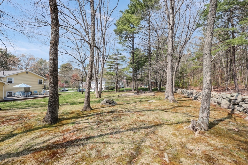 17 Tamarack Road Medfield, MA 02052 - Photo 35 of 41 Gallery Image 35