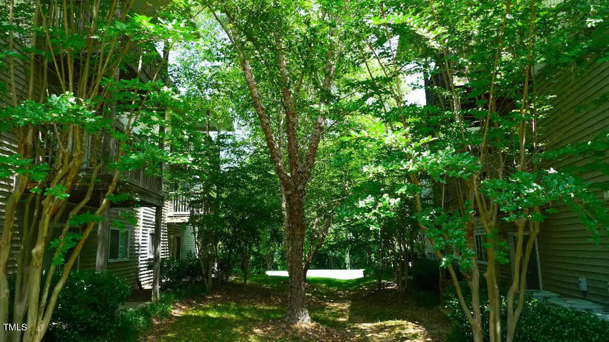 303 Smith Level Road, Unit E33 Chapel Hill, NC 27516 - Photo 21 of 25 a view of a trees in a yard