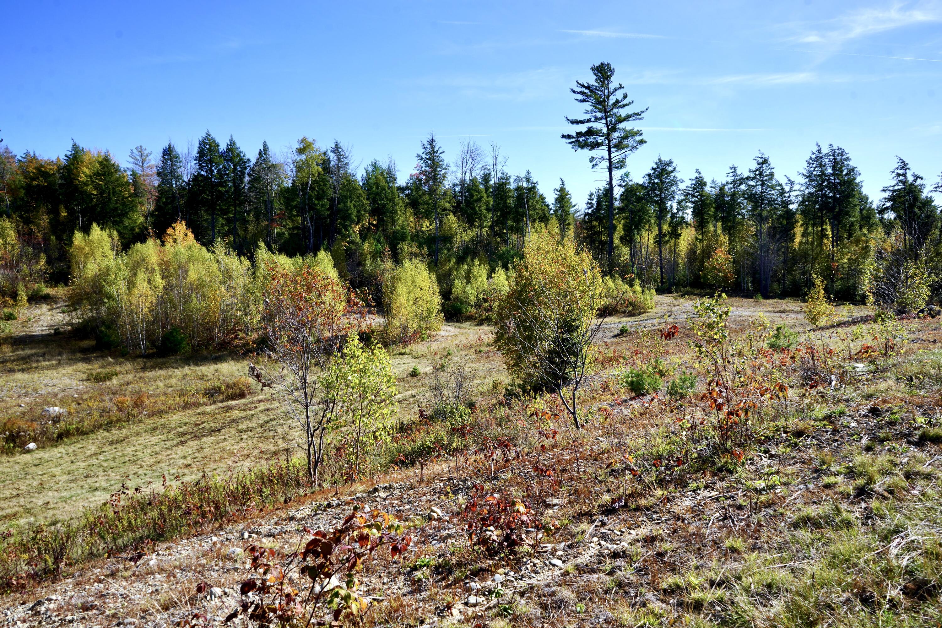 780 Spring Bridge Road Greenbush, ME 04418 - Photo 45 of 45 780 Spring Bridge Road