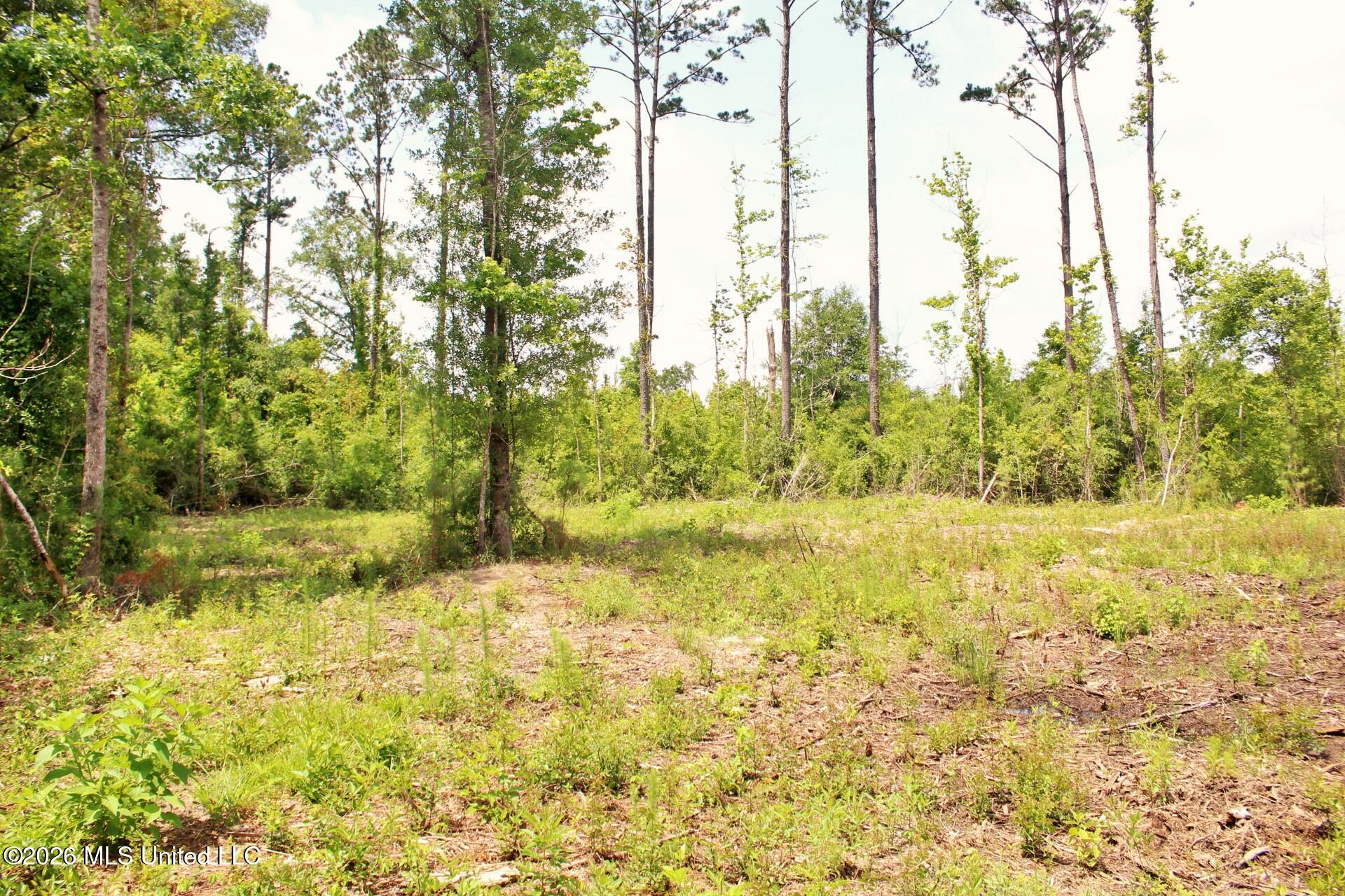 24.48-ac River Road Lucedale, MS 39452 - Photo 11 of 19 IMG_3921