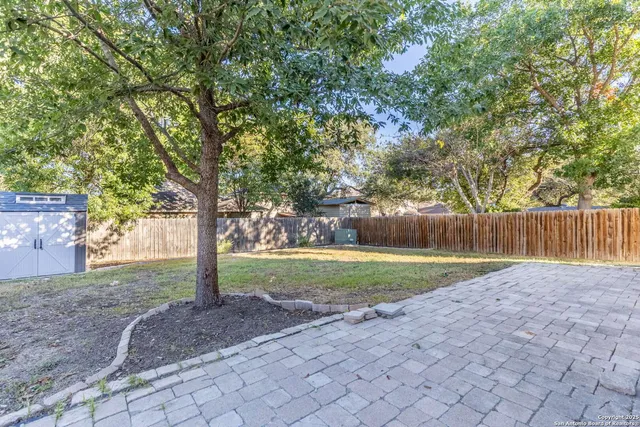 a view of a yard with a tree
