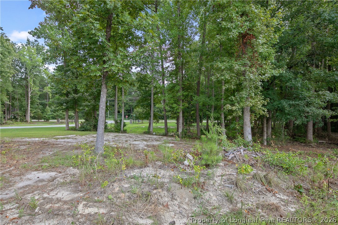 45 Raintree Lane Spring Lake, NC 28390 - Photo 36 of 44 Gallery Image 36