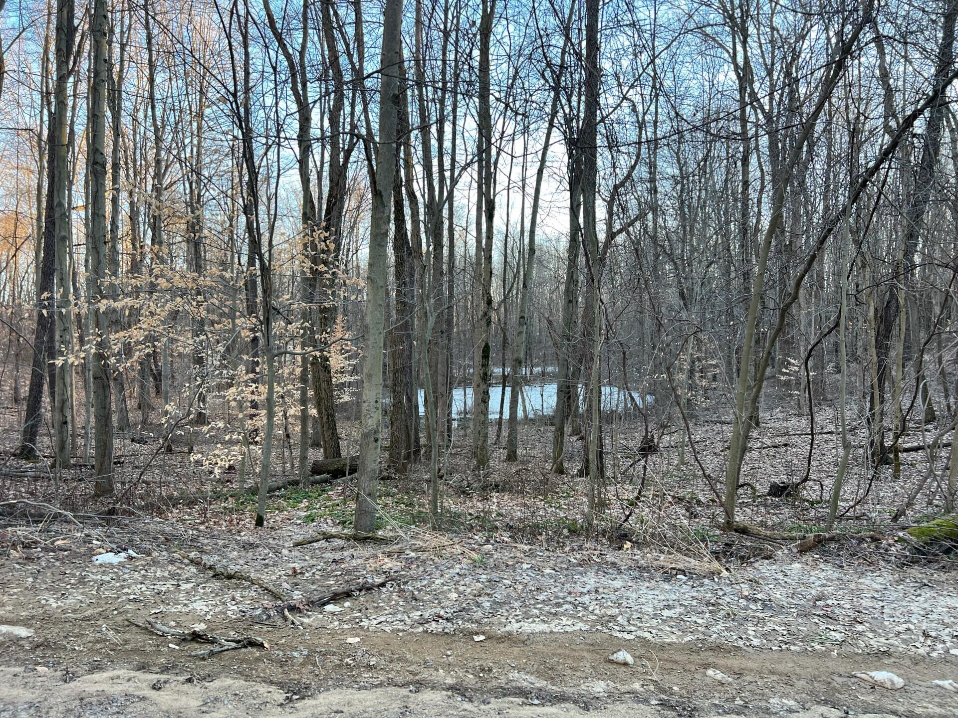 V/l Hoffman Road Marcellus, MI 49067 - Photo 2 of 9 Hoffman 2