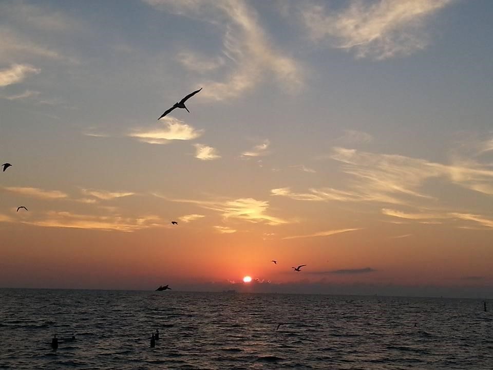 1818-1820 Todville Road Seabrook, TX 77586 - Photo 16 of 26 A breathtaking ocean sunset view with birds soaring in the sky, offering a serene and picturesque setting for a coastal home.