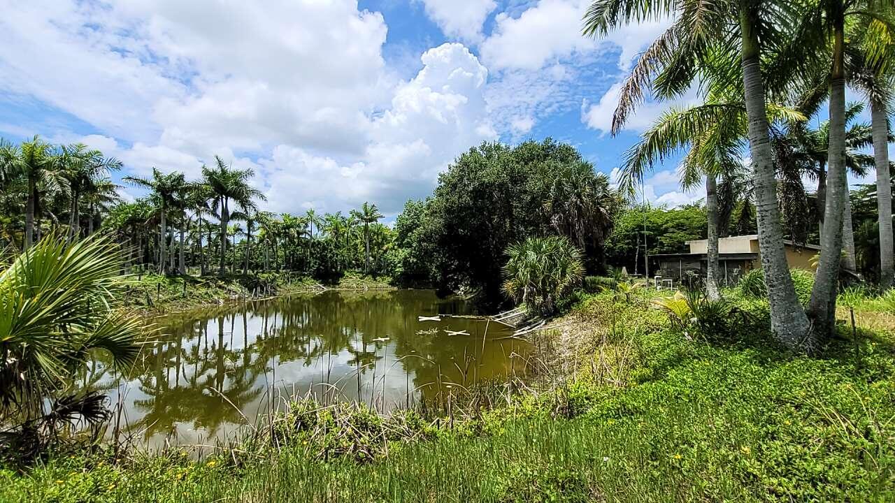 4095 Windmill Road Loxahatchee, FL 33470 - Photo 12 of 16 12_beyc6a33e9155eda0