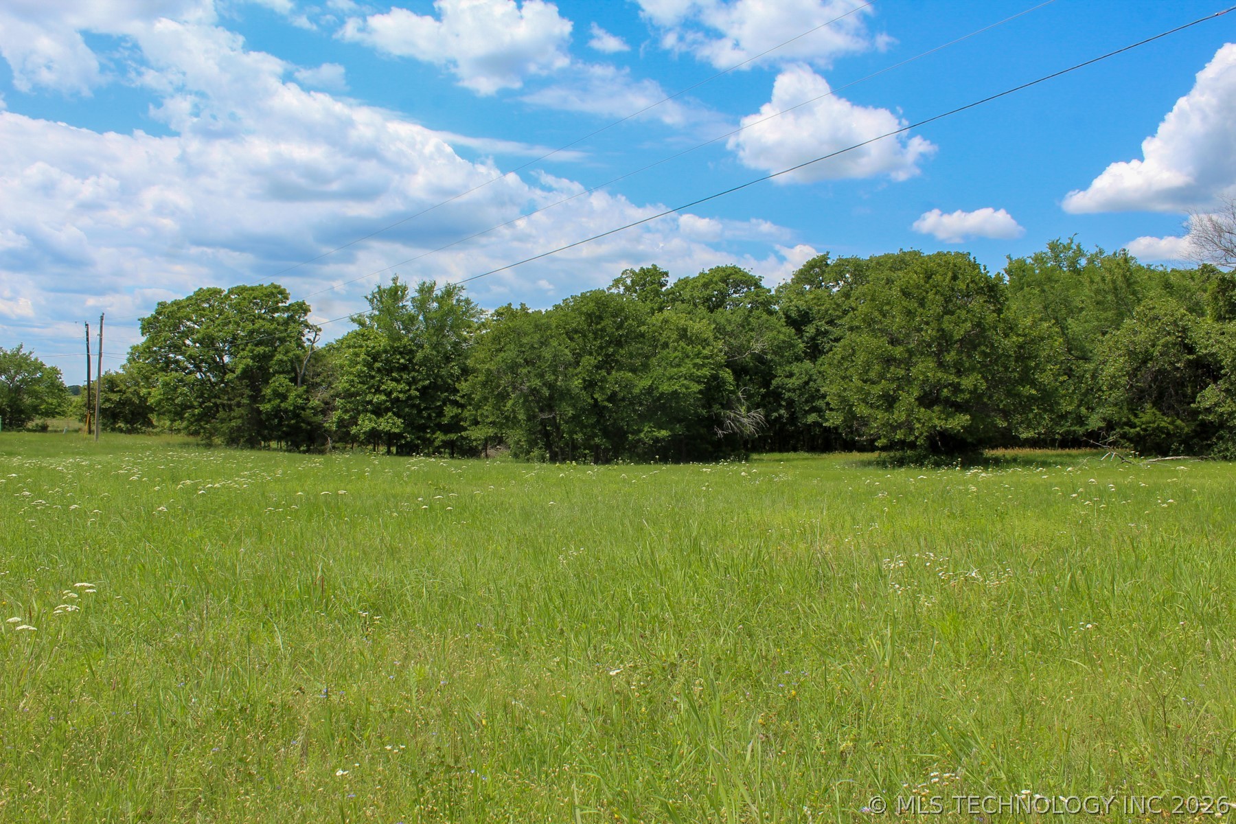 13248 North 3540th Road Maud, OK 74854 - Photo 98 of 98 Expansive green field featuring varied grasses and small white wildflowers, bordered by a dense line of mature trees