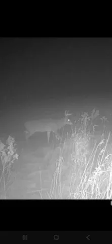 $335,000 | 14809 110th Street, Foreston, MN 56330