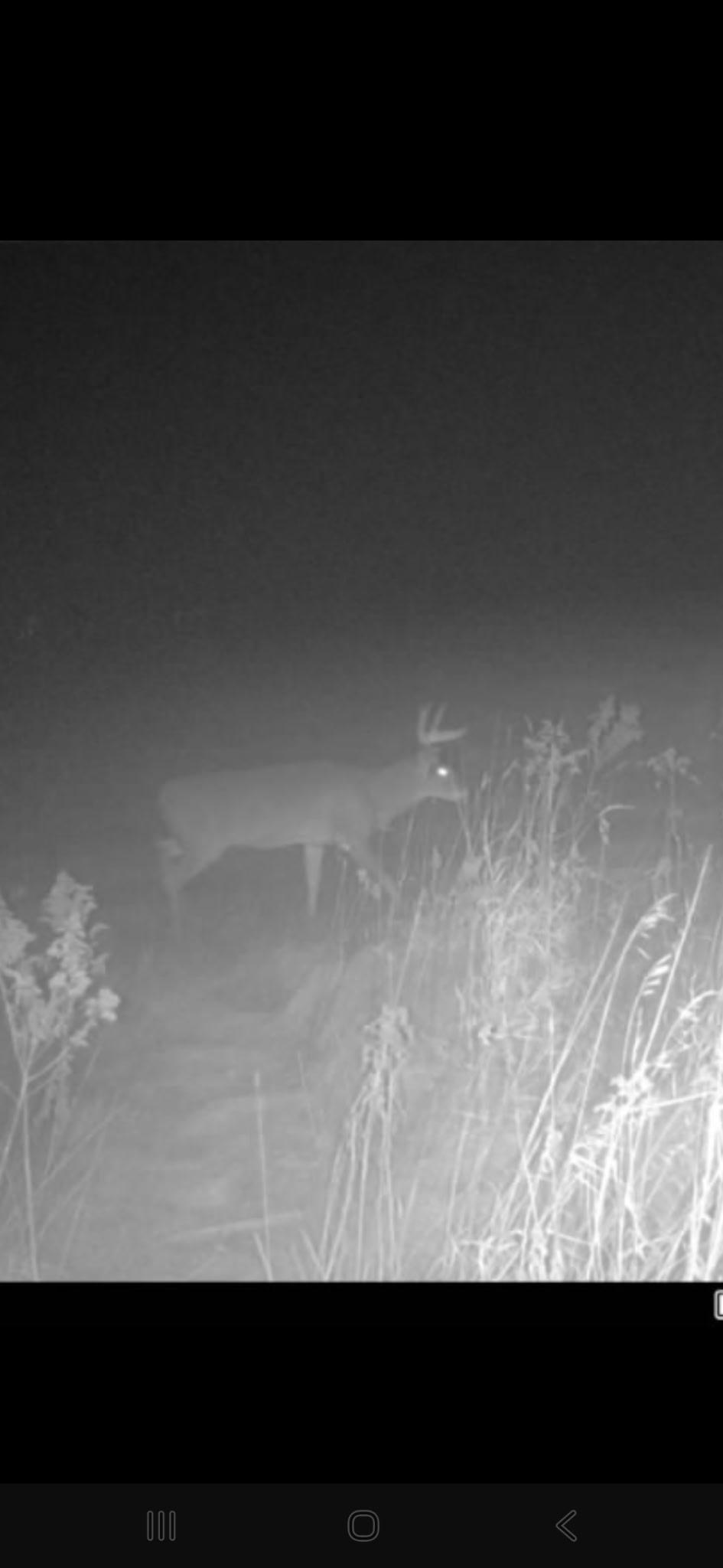 14809 110th Street Foreston, MN 56330 - Photo 13 of 16