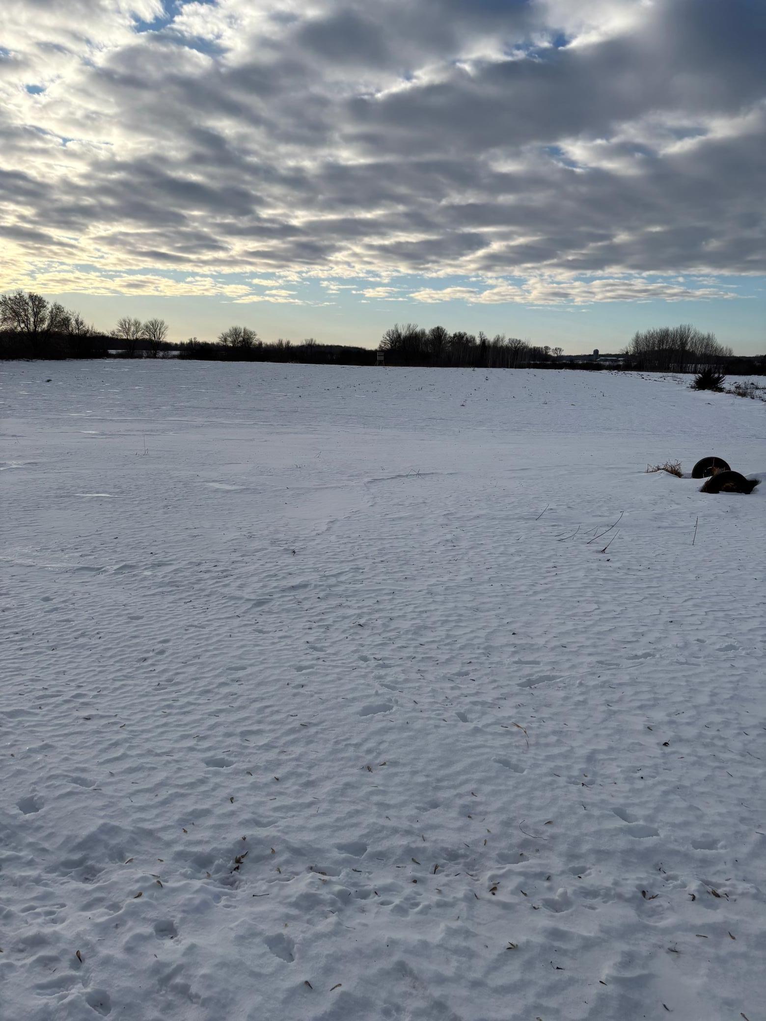 14809 110th Street Foreston, MN 56330 - Photo 6 of 16