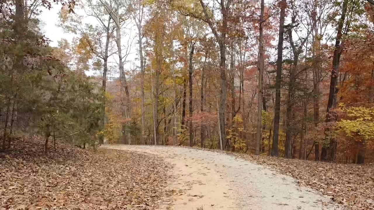 2305 Earley Farm Road Amherst, VA 24521 - Photo 14 of 18 Gallery Image 14