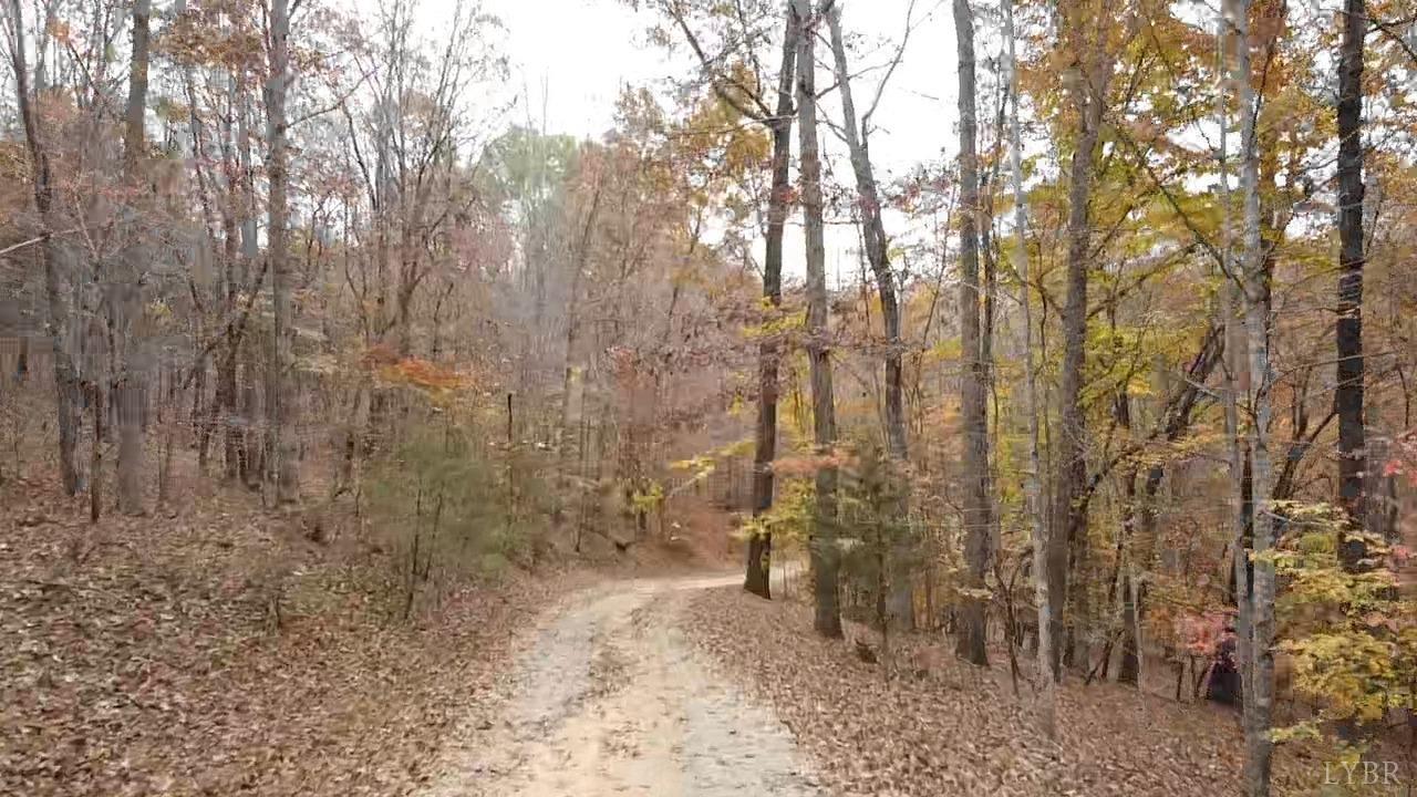 2305 Earley Farm Road Amherst, VA 24521 - Photo 15 of 18 Gallery Image 15