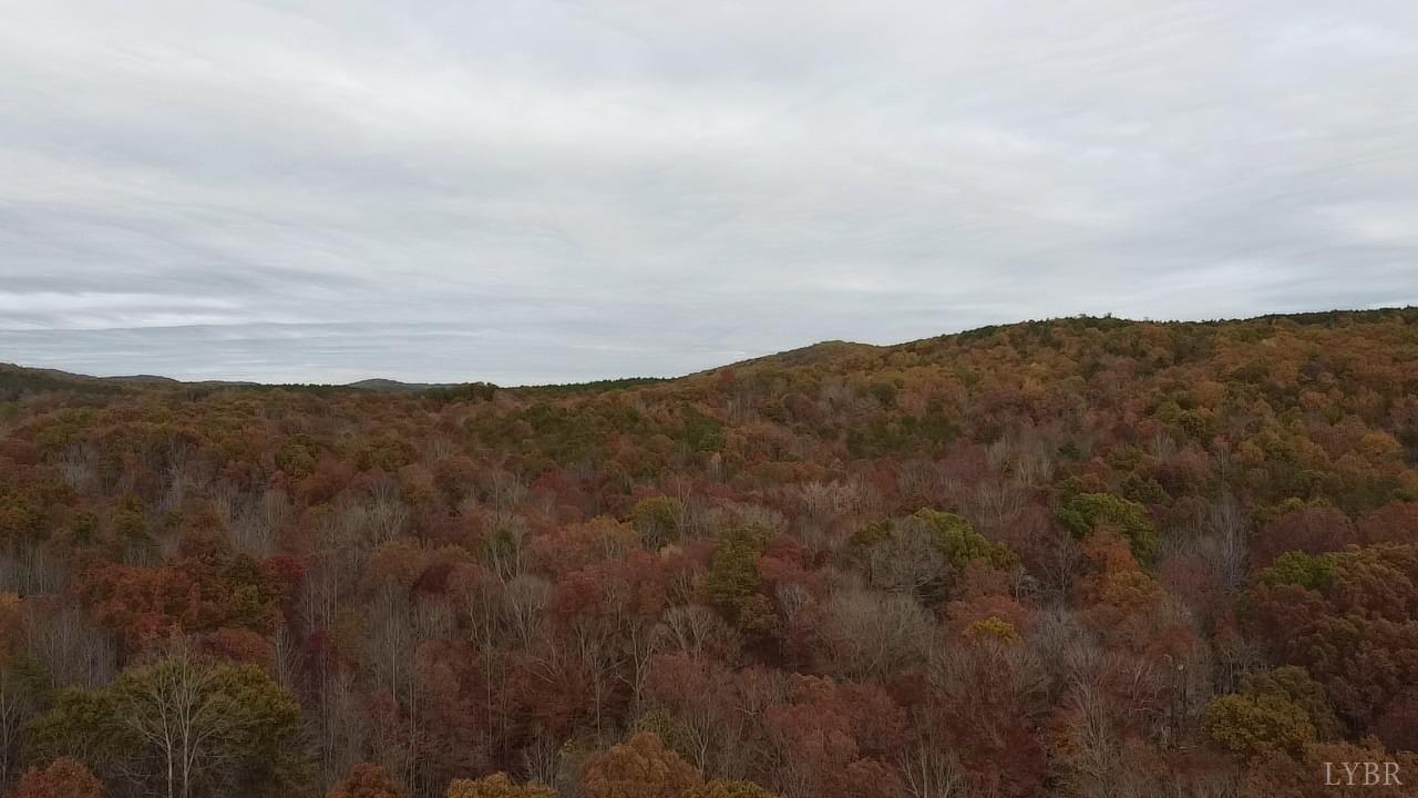 2305 Earley Farm Road Amherst, VA 24521 - Photo 16 of 18 Gallery Image 16