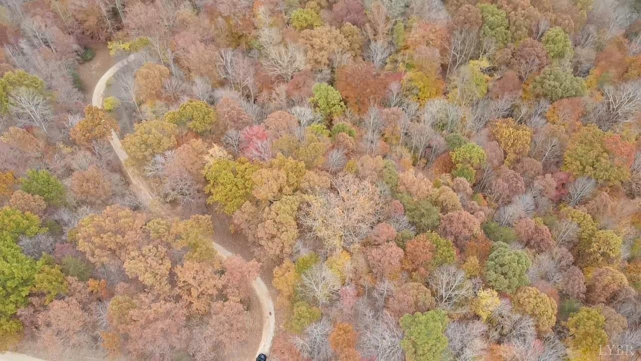 2305 Earley Farm Road Amherst, VA 24521 - Photo 5 of 18 Gallery Image 5