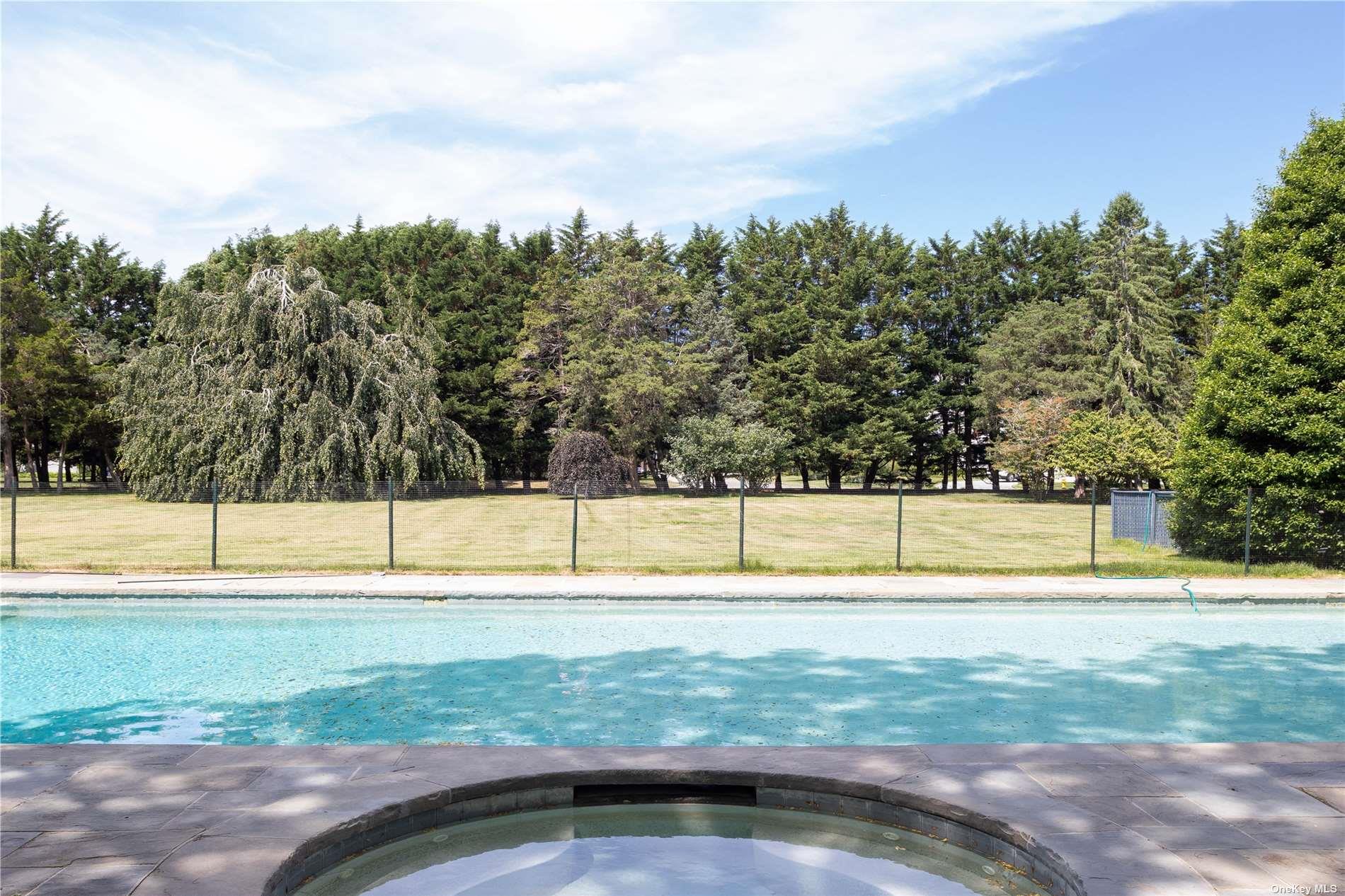16 Tuthill Lane Remsenburg, NY 11960 - Photo 29 of 32 a view of a swimming pool with a yard and trees in the background