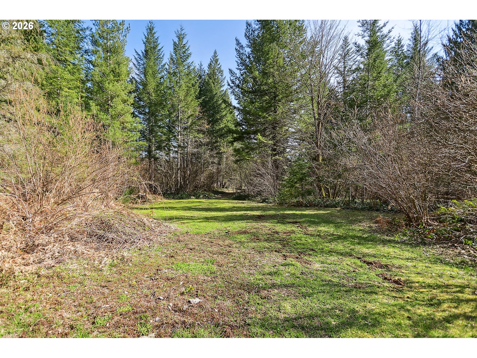 81 Wind Crest Road Carson, WA 98610 - Photo 37 of 45
