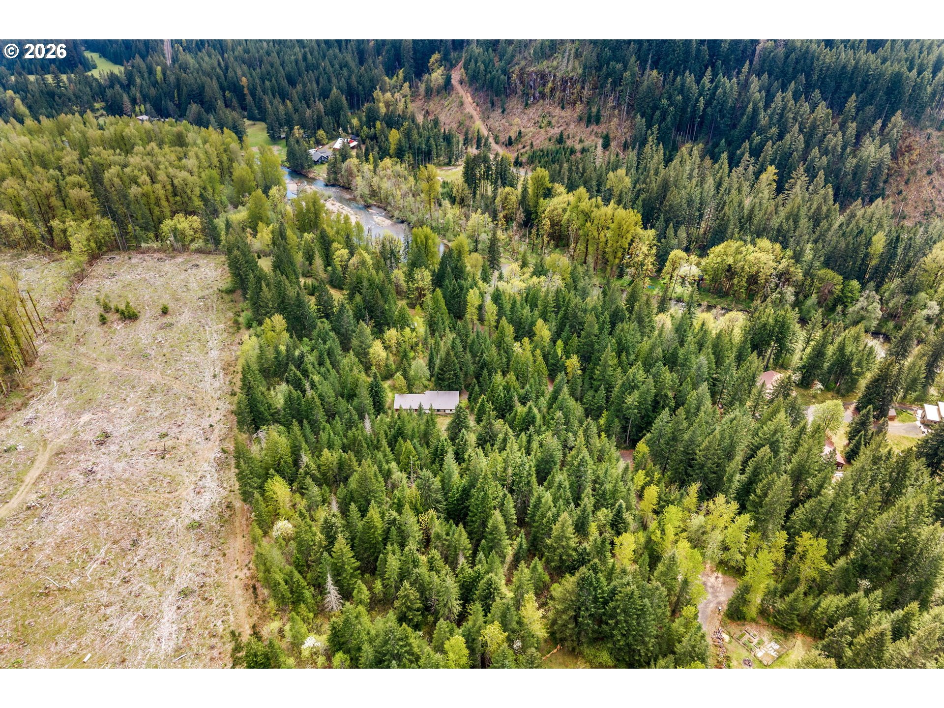 81 Wind Crest Road Carson, WA 98610 - Photo 4 of 45