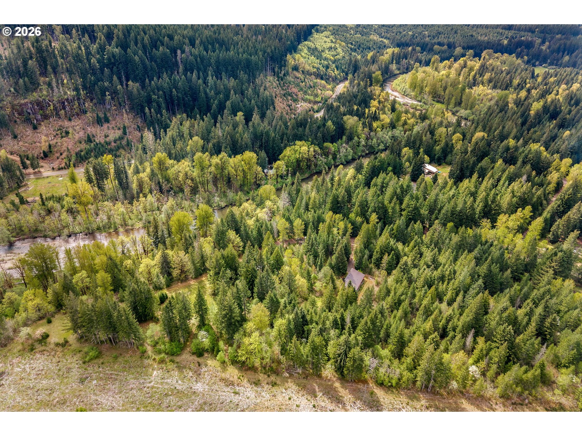 81 Wind Crest Road Carson, WA 98610 - Photo 5 of 45