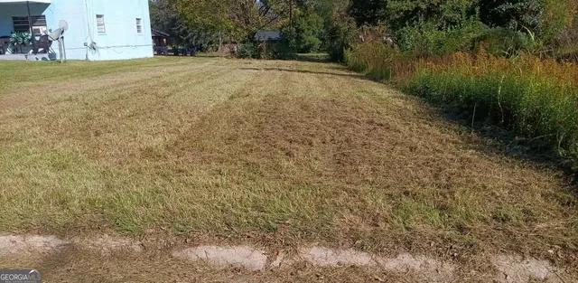 a view of a yard with a tree