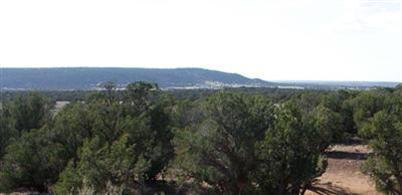 4331 Sorrel Road Snowflake, AZ 85937 - Photo 2 of 2 Additional Photo