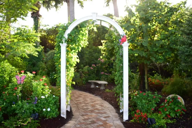 a view of a garden with plants