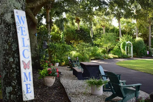 a view of a flower in a garden