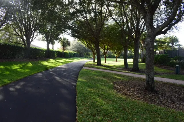 a view of a park with tree s