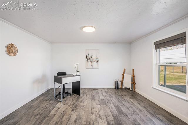 8440 Piute Road Colorado Springs, CO 80926 - Photo 8 of 34 Spacious office/bonus room with abundant natural light from a large window and durable LVT flooring—perfect for work, hobbies, or extra living space.