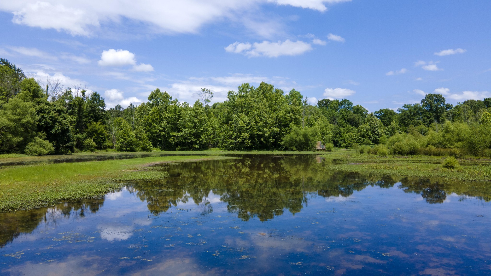 0 Trewhitt Road Southeast Cleveland, TN 37323 - Photo 27 of 36 Gallery Image 27