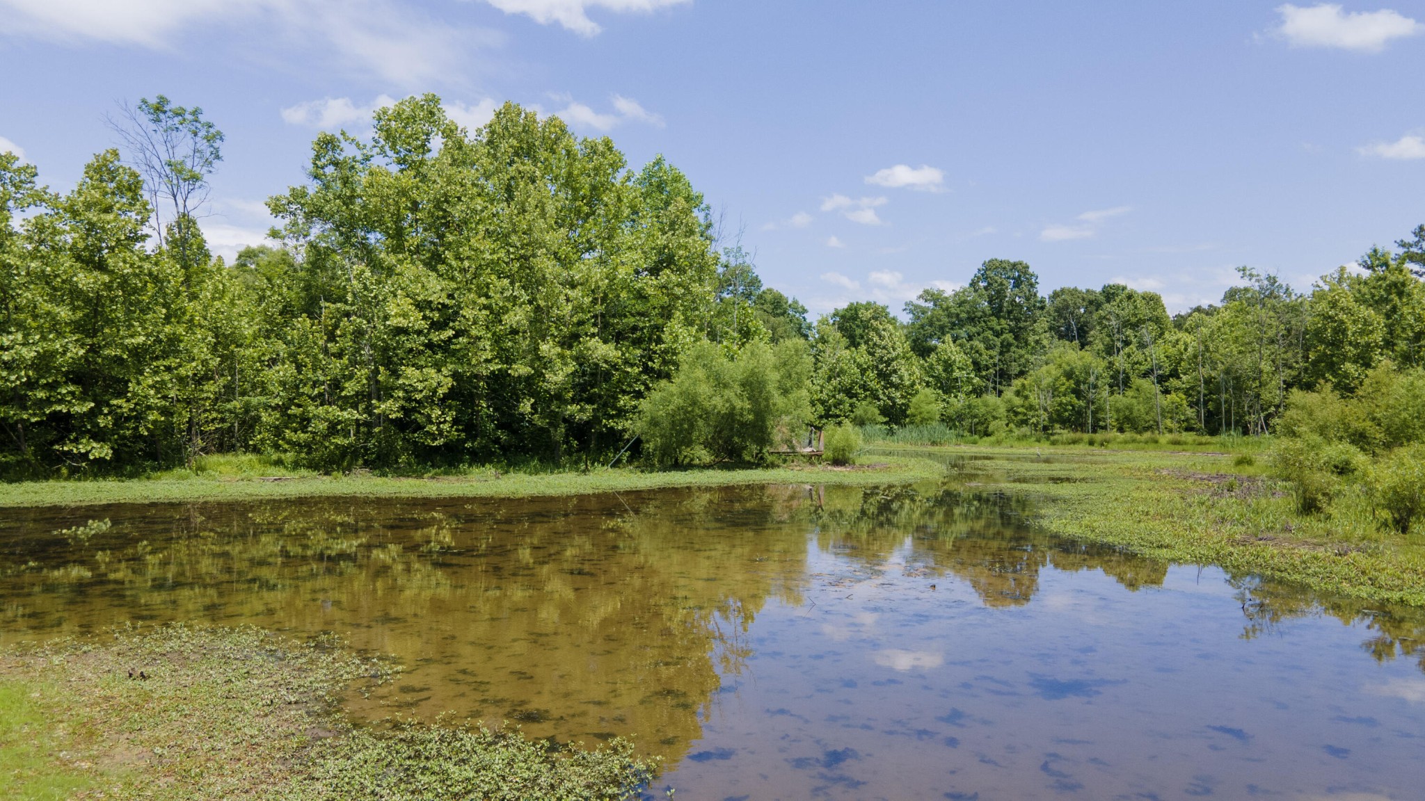 0 Trewhitt Road Southeast Cleveland, TN 37323 - Photo 7 of 36 Gallery Image 7