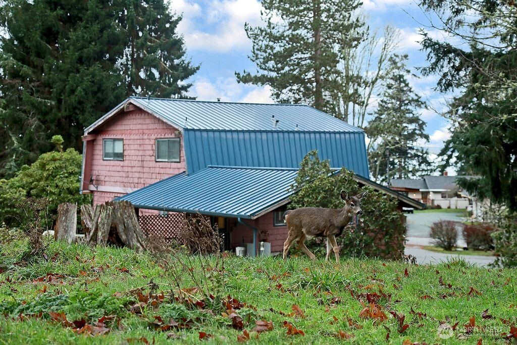 6423 South Admiralty Way Freeland, WA 98249 - Photo 3 of 11 a backyard of a house with lots of green space and plants