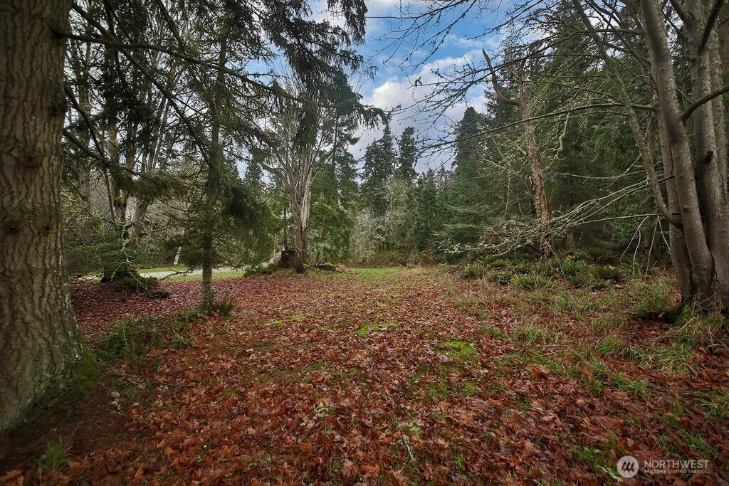 6423 South Admiralty Way Freeland, WA 98249 - Photo 4 of 11 a view of a forest with trees