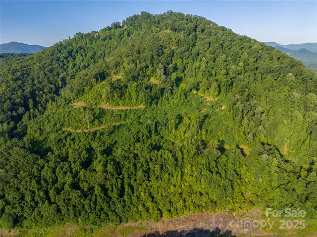 $775,000 | 0 Hwy 28 None Bryson City Nc 28702 None, Unit NONE, Bryson City, NC 28713