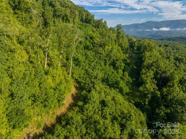 $775,000 | 0 Hwy 28 None Bryson City Nc 28702 None, Unit NONE, Bryson City, NC 28713