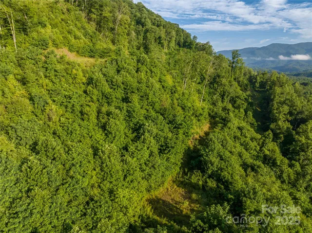 $775,000 | 0 Hwy 28 None Bryson City Nc 28702 None, Unit NONE, Bryson City, NC 28713