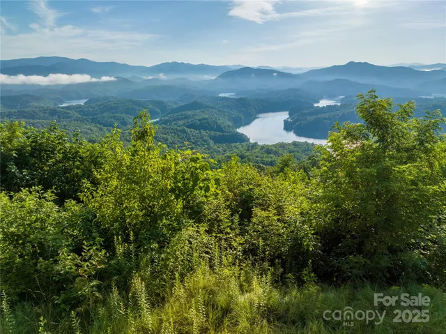 $775,000 | 0 Hwy 28 None Bryson City Nc 28702 None, Unit NONE, Bryson City, NC 28713