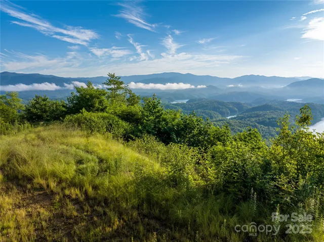 $775,000 | 0 Hwy 28 None Bryson City Nc 28702 None, Unit NONE, Bryson City, NC 28713