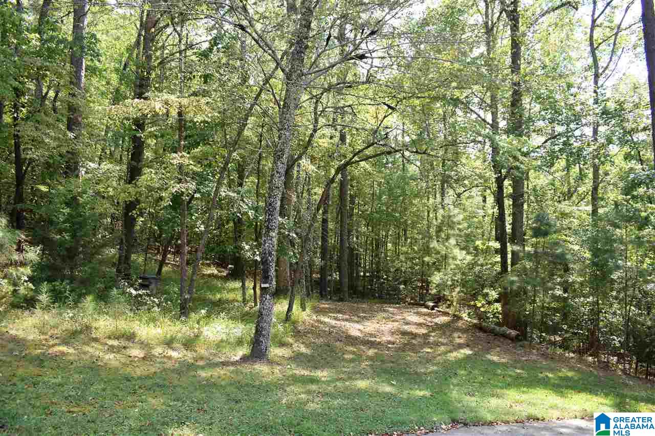 8523 Scenic Ridge Drive Pinson, AL 35126 - Photo 11 of 32