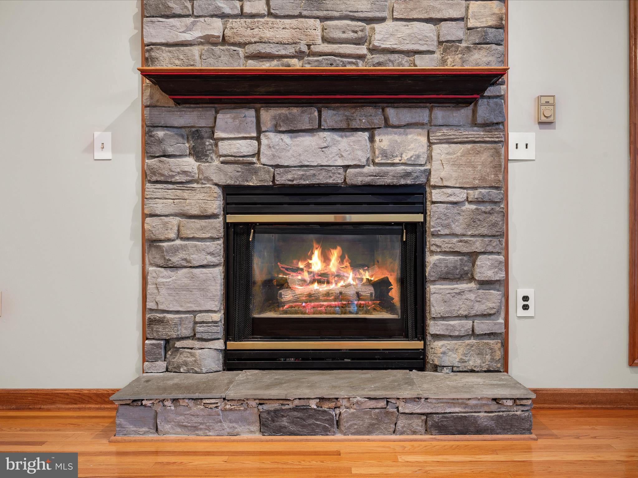 102 Divot Place Cross Junction, VA 22625 - Photo 16 of 86 Cozy up next to the fireplace