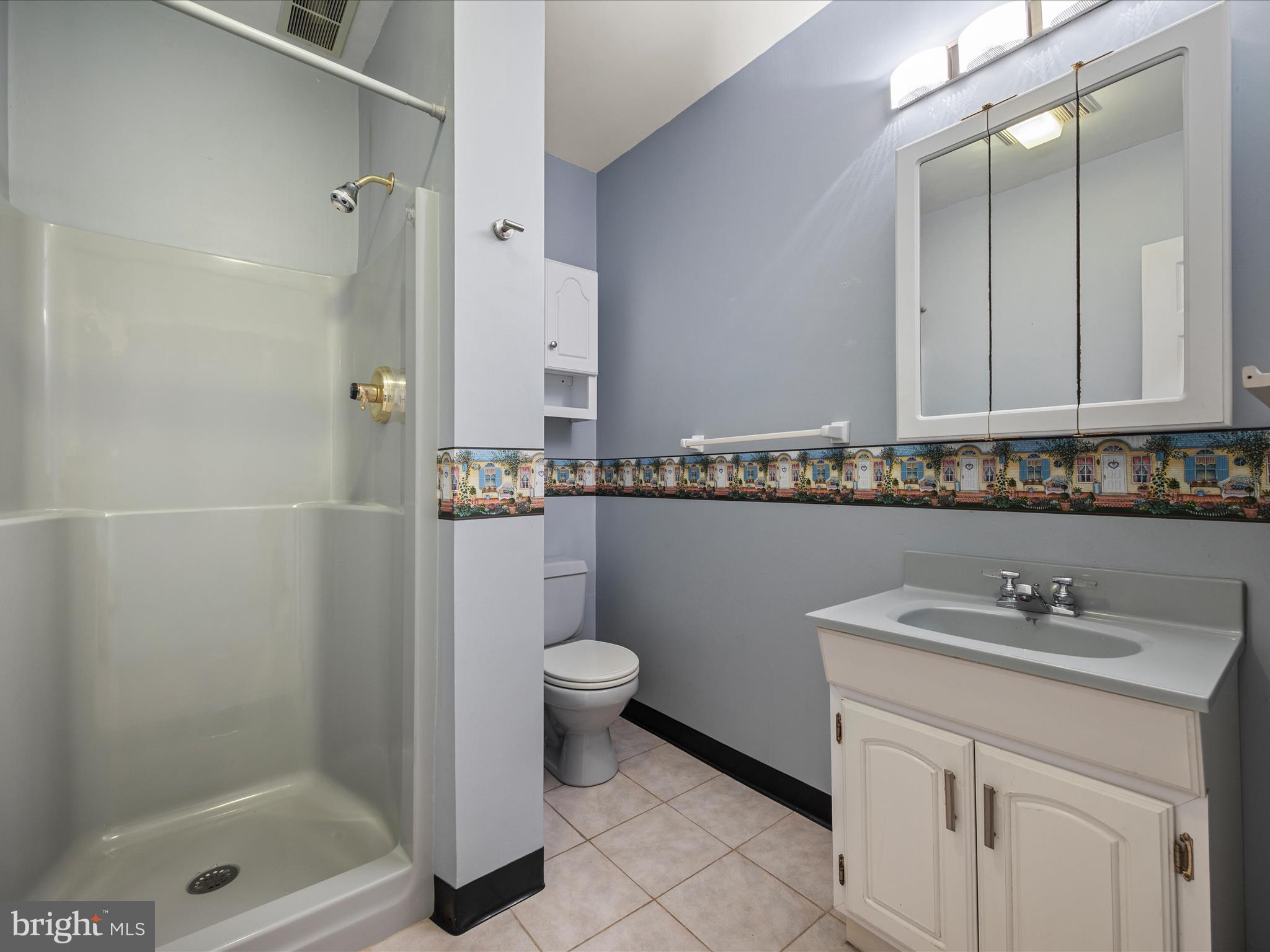 102 Divot Place Cross Junction, VA 22625 - Photo 42 of 86 Full bath on the lower level