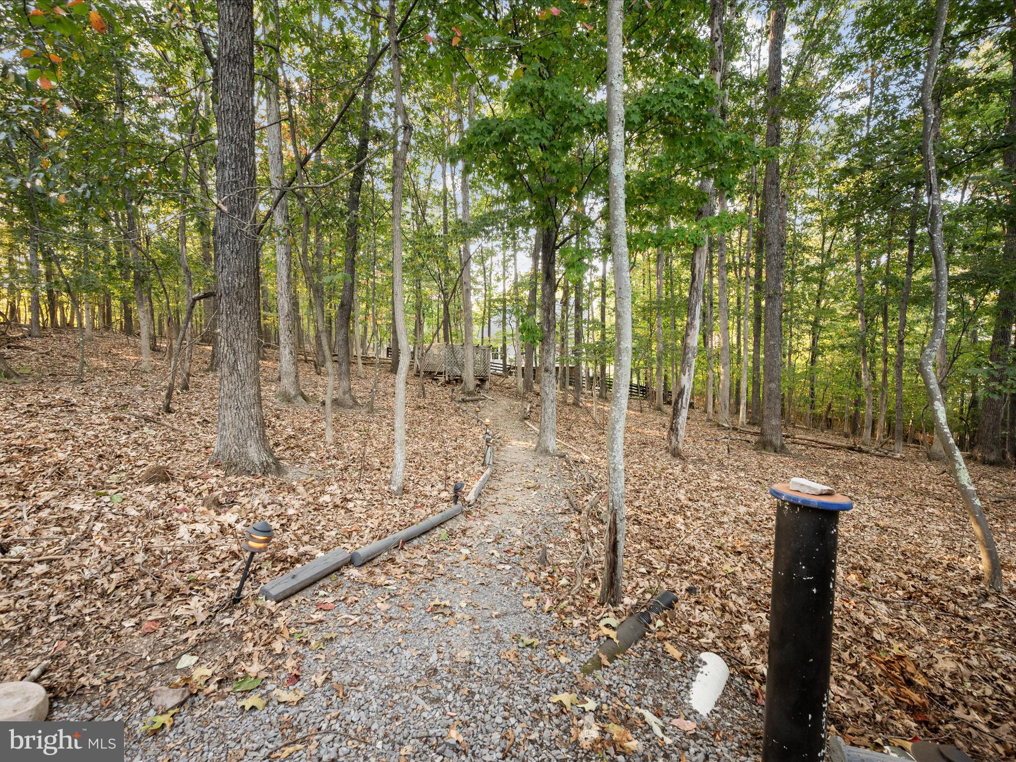 102 Divot Place Cross Junction, VA 22625 - Photo 56 of 86 Tons of privacy