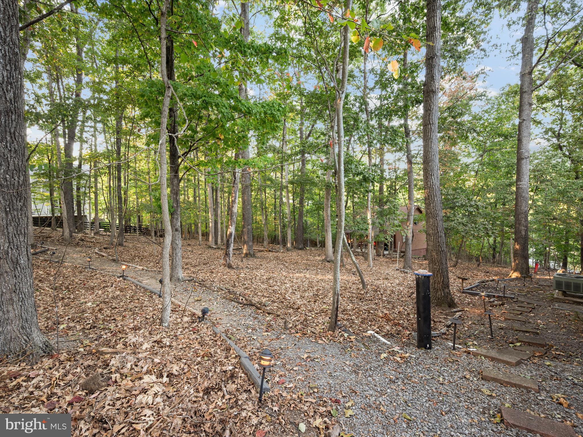 102 Divot Place Cross Junction, VA 22625 - Photo 57 of 86 Surrounded by large trees