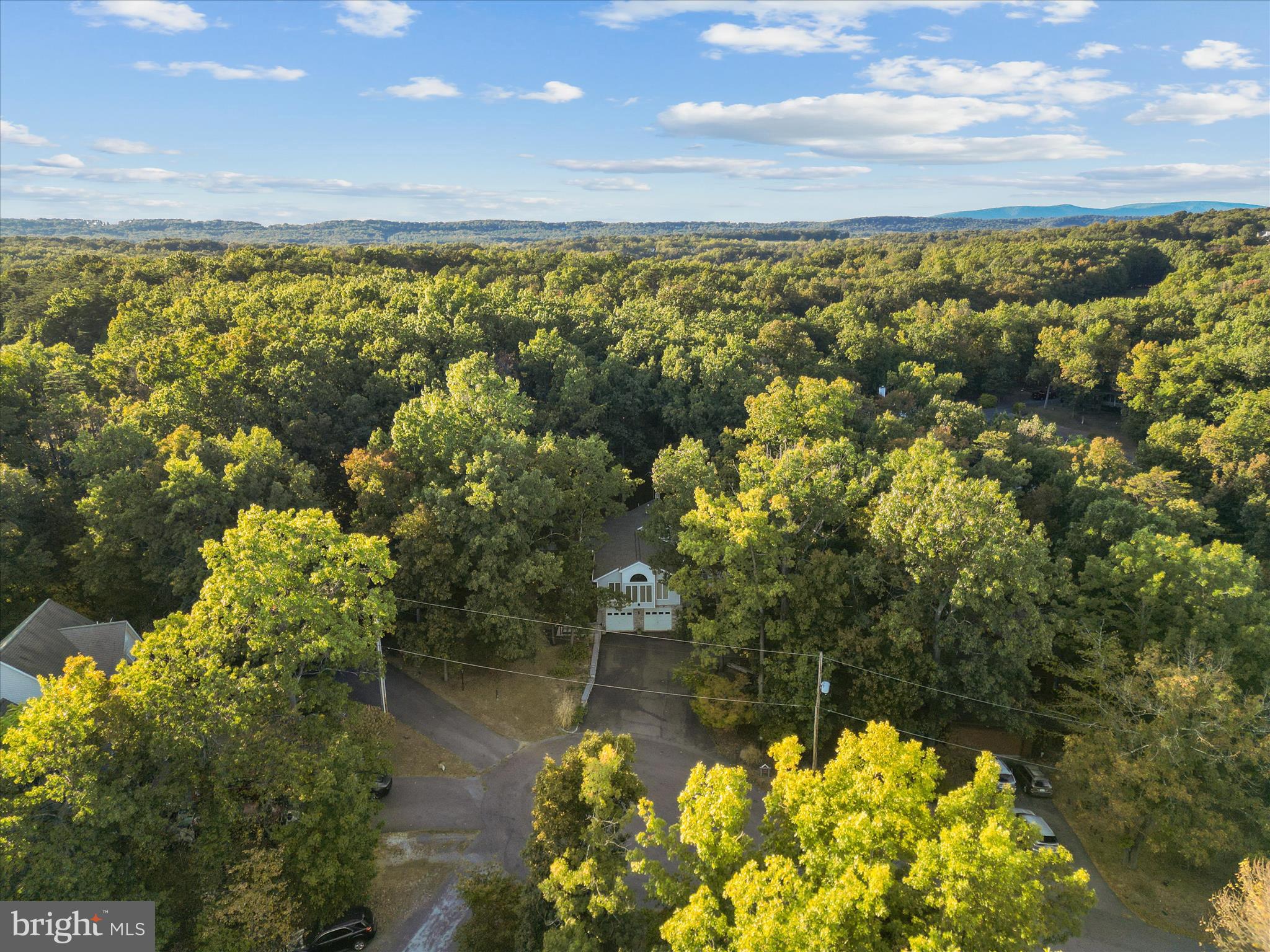 102 Divot Place Cross Junction, VA 22625 - Photo 63 of 86 Quiet cul-de-sac offers lots of privacy