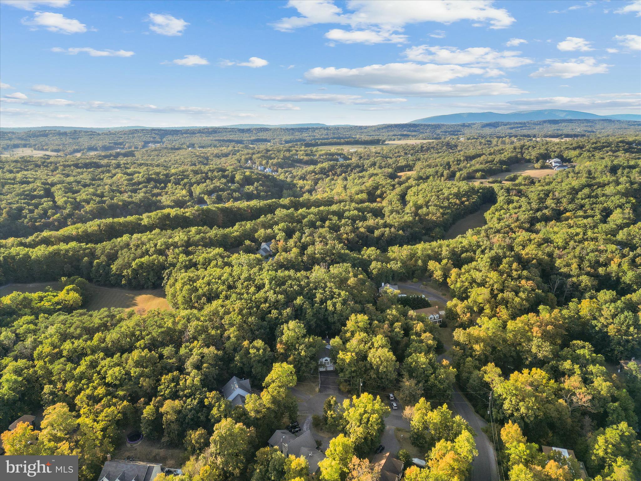 102 Divot Place Cross Junction, VA 22625 - Photo 64 of 86