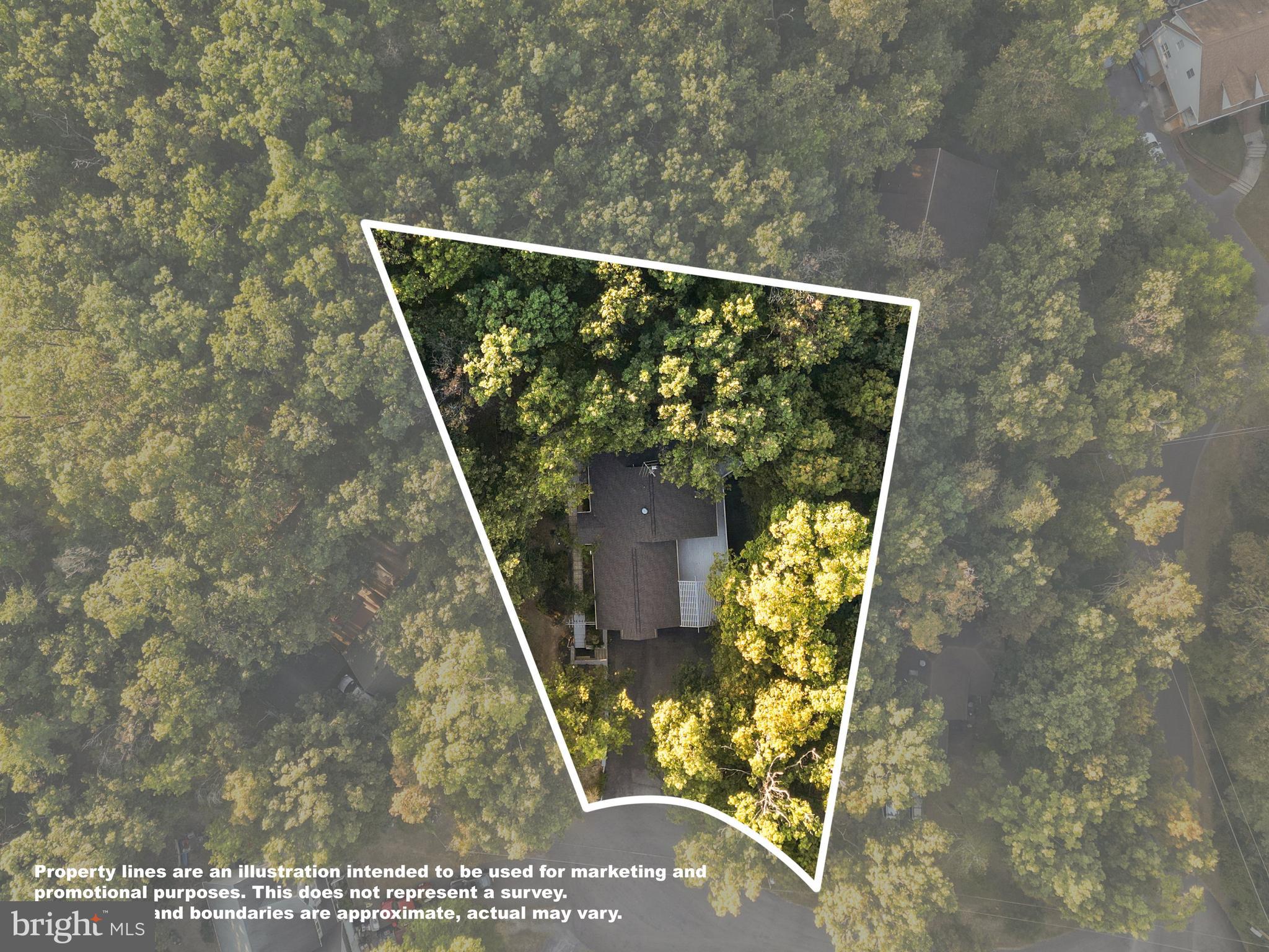 102 Divot Place Cross Junction, VA 22625 - Photo 8 of 86 Situated on a large, wooded lot