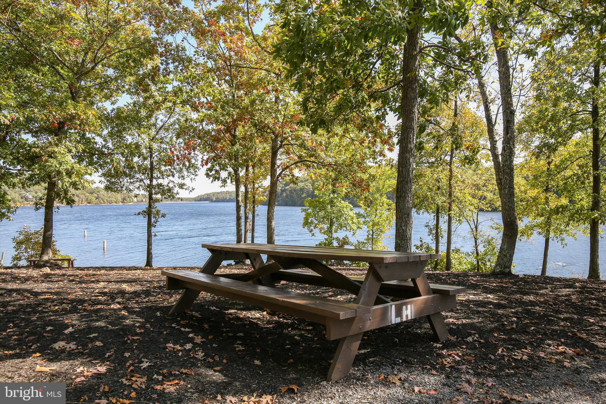 102 Divot Place Cross Junction, VA 22625 - Photo 83 of 86 Picnic area