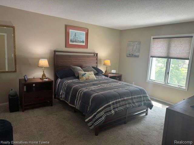 1467 Krafft Road, Unit 8 Port Huron, MI 48060 - Photo 11 of 28 Carpeted bedroom featuring a window with cellular shades, a wood-finish bed frame, and two wood-finish nightstands with integrated shelving