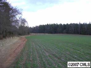 1035 Barringer Road Salisbury, NC 28147 - Photo 1 of 3 a view of grassy field with mountain